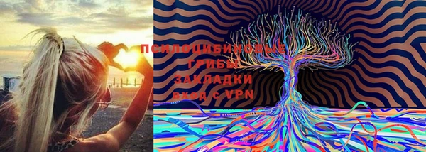 мескалин Алексин