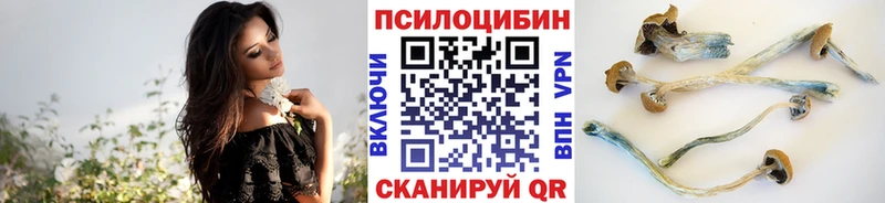 как найти наркотики  Крым  Псилоцибиновые грибы Psilocybine cubensis 